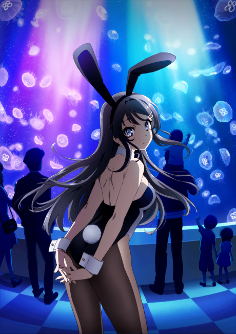 Cover image of Seishun Buta Yarou wa Bunny Girl Senpai no Yume wo Minai