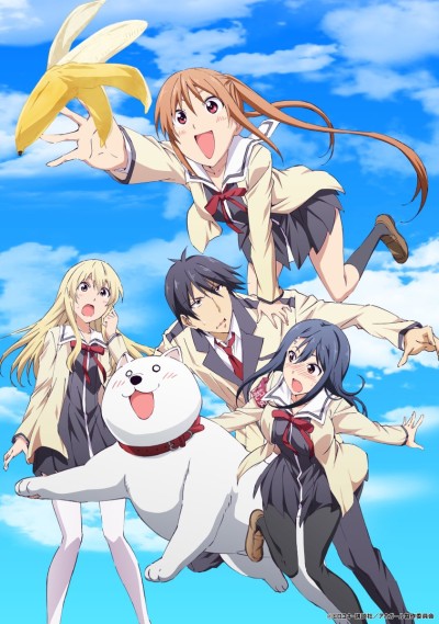 Cover image of Aho Girl