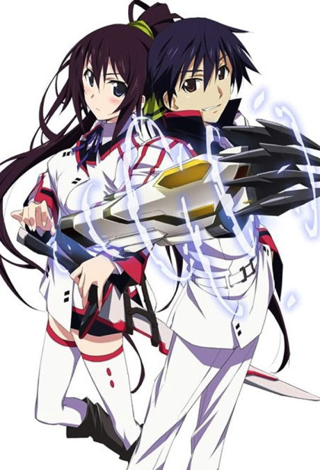 Cover image of IS: Infinite Stratos