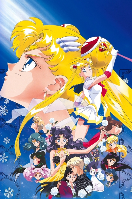 Cover image of Bishoujo Senshi Sailor Moon S: Kaguya-hime no Koibito