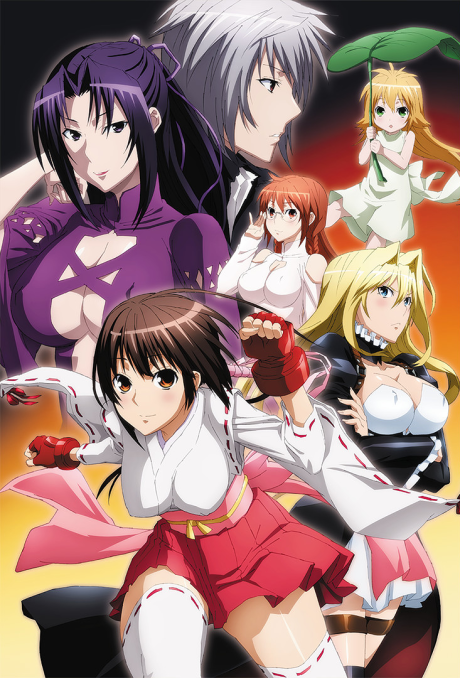 Cover image of Sekirei: Pure Engagement