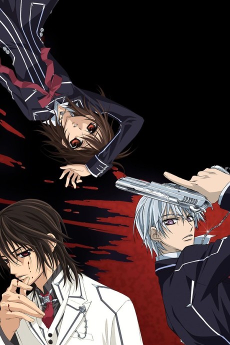 Cover image of Vampire Knight