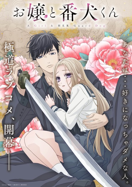 Cover image of Ojou to Banken-kun