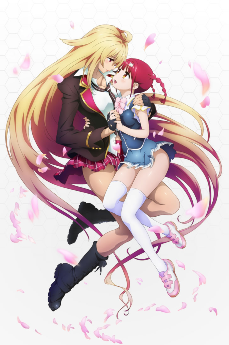 Cover image of Valkyrie Drive: Mermaid