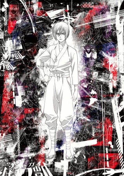 Cover image of Sword Gai: The Animation