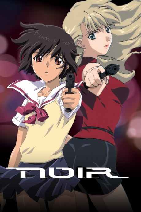 Cover image of Noir