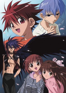 Cover image of D.N.Angel